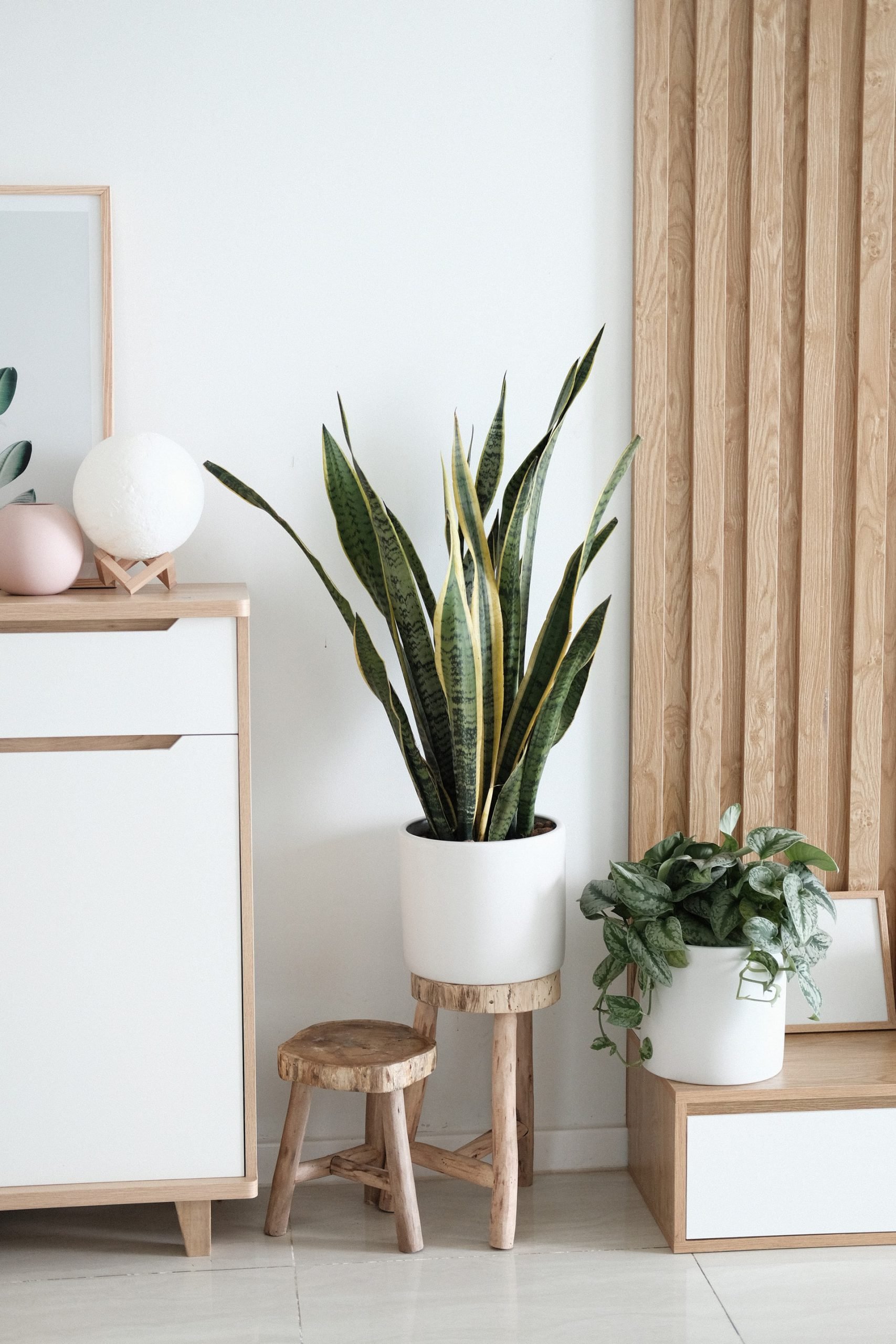 Tendencias de decoración para otoño 2020